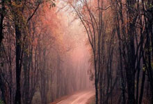 LEYU：2025年斯诺克世界大奖赛即将开杆 中国选手9人参赛.